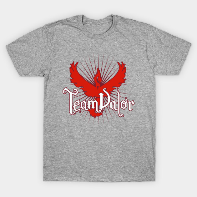 Team Valor